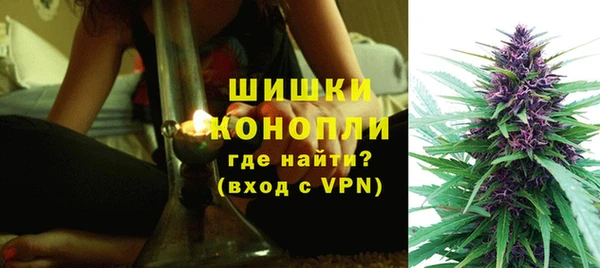бошки Алексин