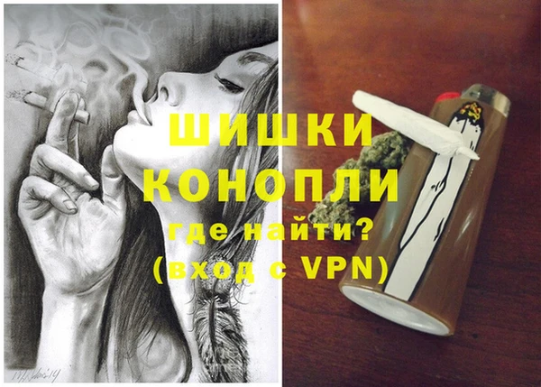бошки Алексин